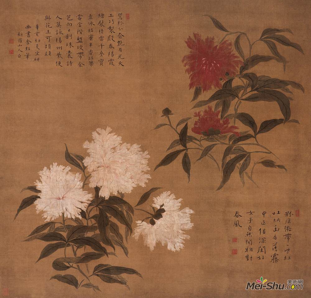 《红白芍药图》华嵒中国画艺术作品欣赏