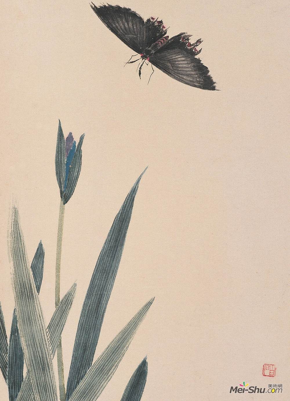 《鸢尾墨蝶》齐白石中国画作品欣赏