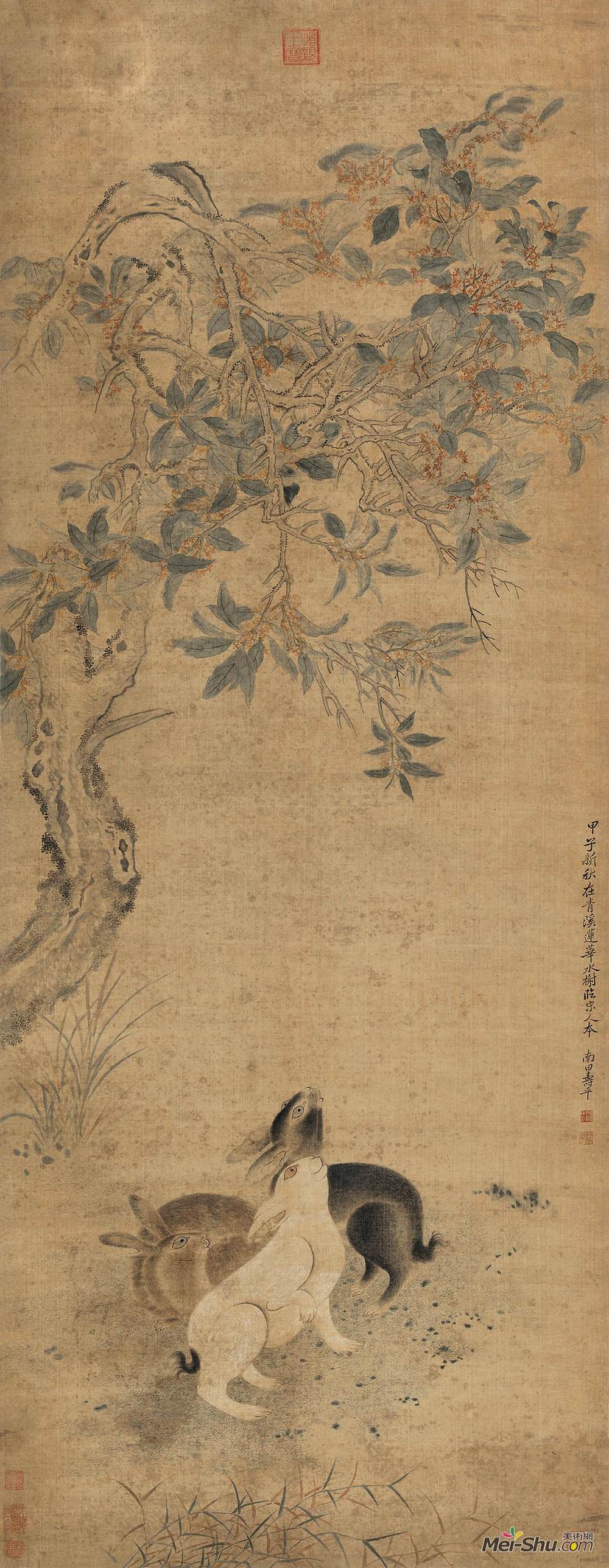 《桂花三兔图》恽寿平中国画高清作品欣赏