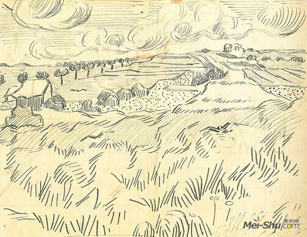麦田素描赏析 