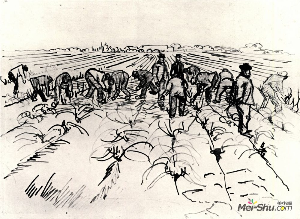 农民在地里劳动 