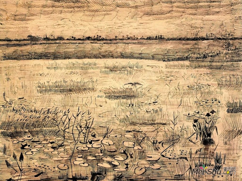 沼泽地 