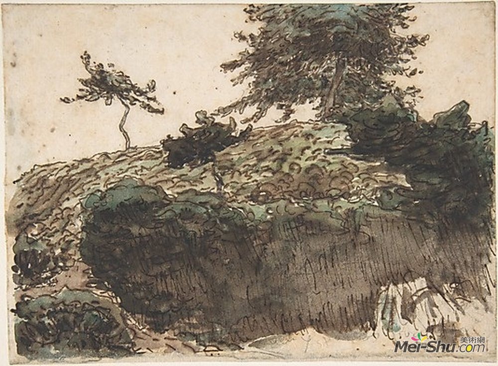 维希风光 