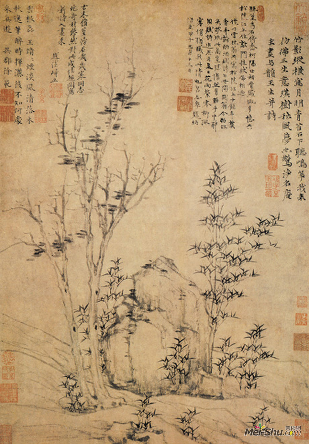 《琪树秋风图》元倪瓒纸本水墨纵62厘米横43.4厘米上海博物馆藏