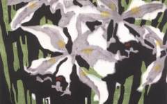 《素菖蒲花》李平凡版画作品欣赏