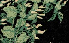 《边地鲜花（组画之一）》罗映球版画作品欣赏