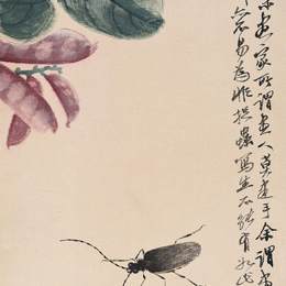 《豆荚天牛》齐白石中国画作品欣赏