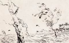 《风》兹万佐夫版画艺术作品
