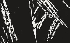 《《狂人日记》之三十四》赵延年版画艺术作品