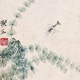 《水草小虾》齐白石中国画作品