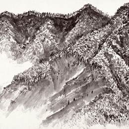 《林区写生19》赵望云中国画作品