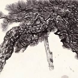 《林区写生26》赵望云中国画艺术作品