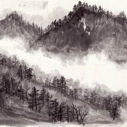 《林区写生13》赵望云中国画高清作品