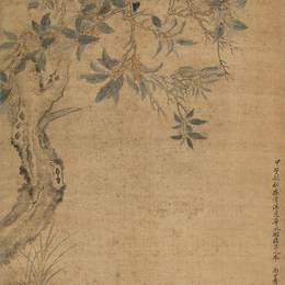 《桂花三兔图》恽寿平中国画高清作品欣赏