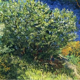 《紫丁香》梵高(Van Gogh)高清
