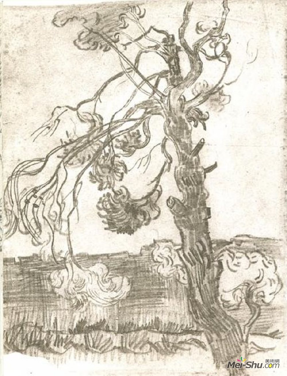 饱经风霜的松树梵高vangogh高清