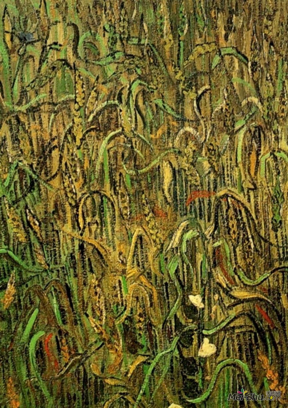 vincent van gogh文森特·梵高油画5543《麦穗》梵高(van gogh)作品