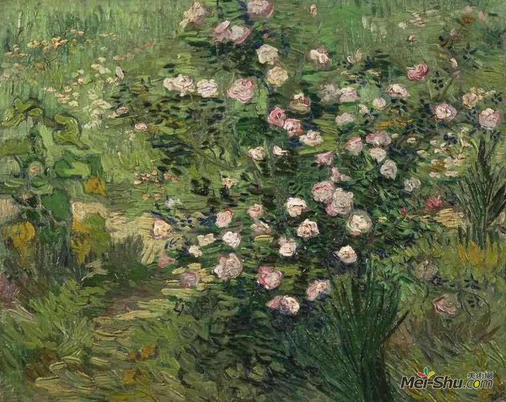 玫瑰梵高vangogh