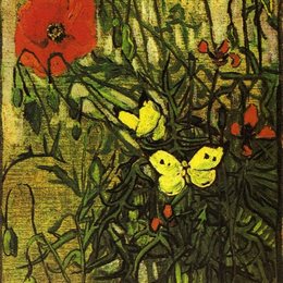 《罂粟花和蝴蝶》梵高(Van Gogh)艺术高清