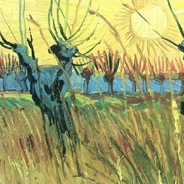 《夕阳下的波拉德柳树》梵高(Van Gogh)作品欣赏高清