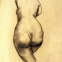 《维纳斯》梵高(Van Gogh)作品欣赏高清