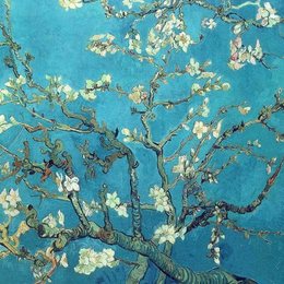 《杏花满枝》梵高(Van Gogh)欣赏高清