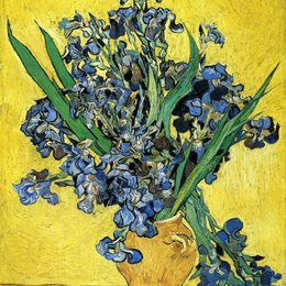 《鸢尾花》梵高(Van Gogh)