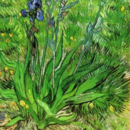 《鸢尾花》梵高(Van Gogh)欣赏高清