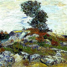 《岩石上的橡树》梵高(Van Gogh)作品高清