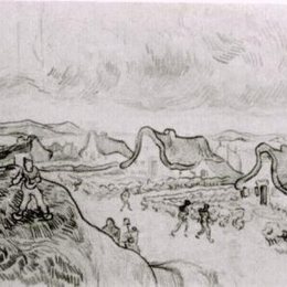 《挖地的人和路边的茅草屋》梵高(Van Gogh)