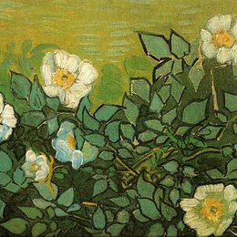 《野玫瑰》梵高(Van Gogh)艺术高清