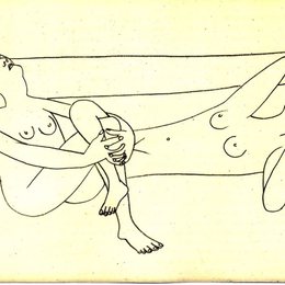 《遐思的裸女》毕加索欣赏高清