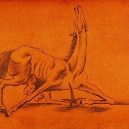 《马的屠宰》毕加索作品欣赏高清