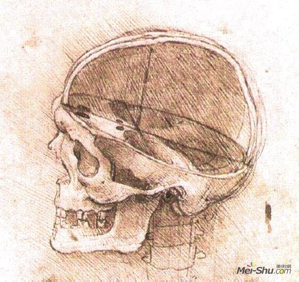 头骨达芬奇高清