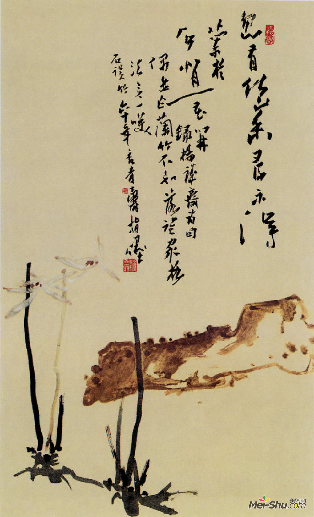 潘天寿-兰石图_潘天寿作品_潘天寿官网_艺术家_美术网-mei-shu.com