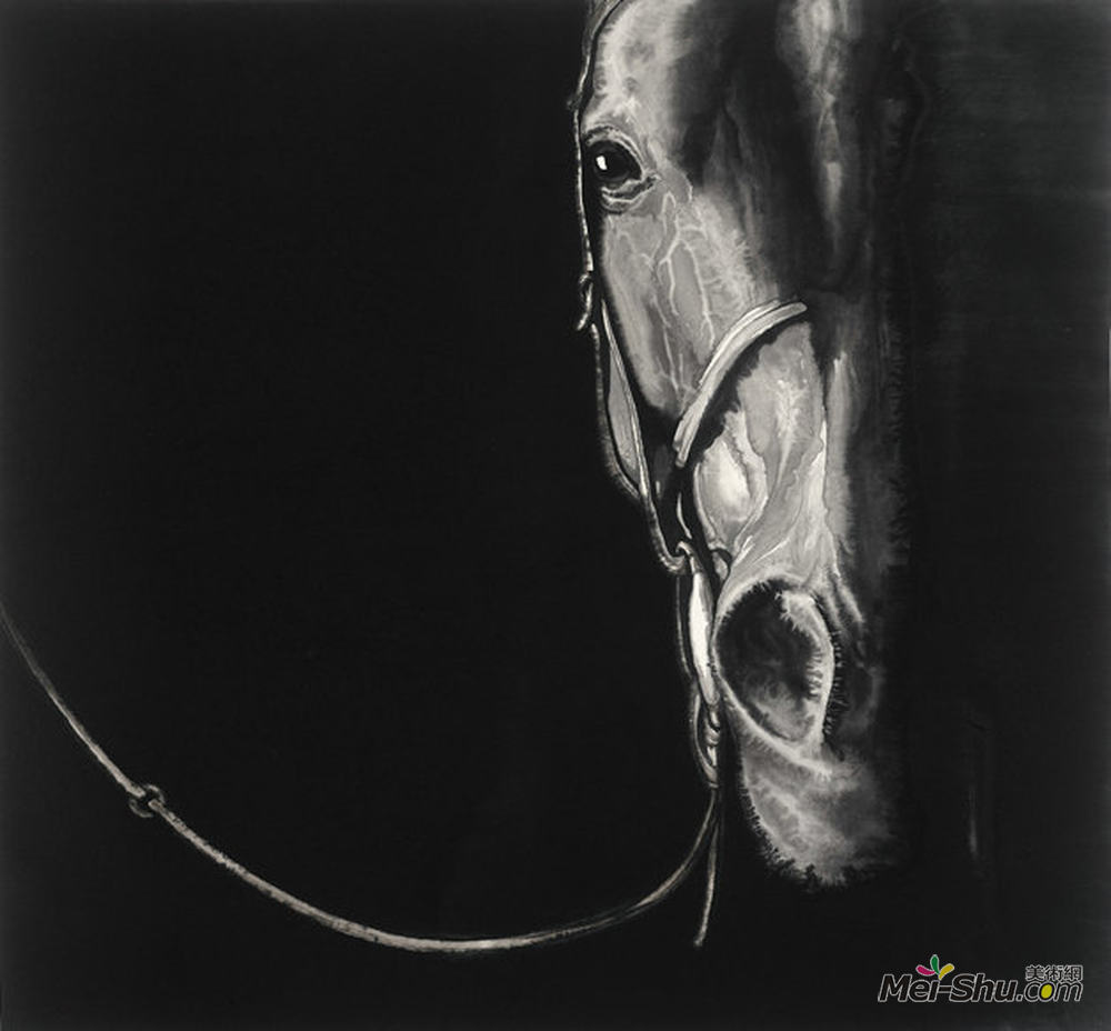 马的肖像16孙浩