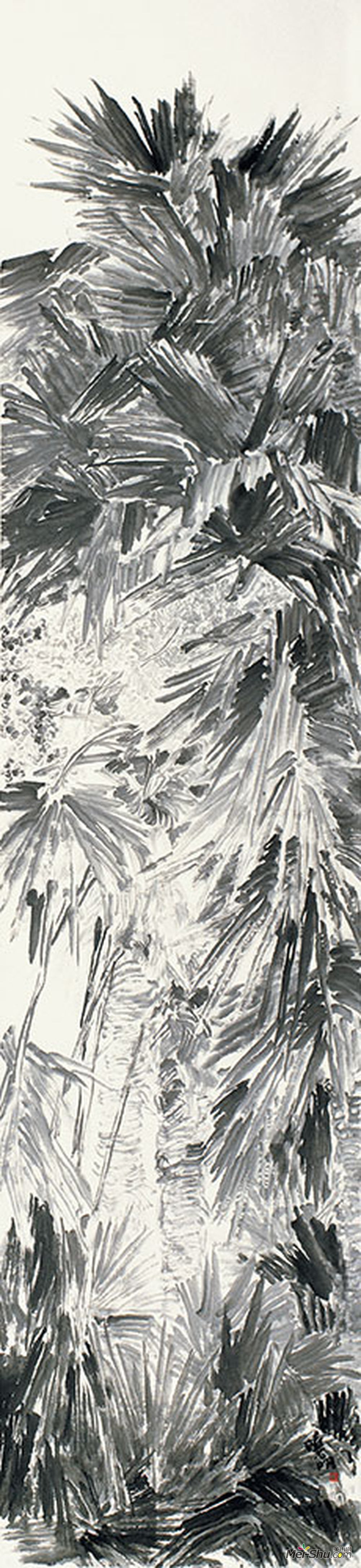 李晓明作品《棕榈系列》