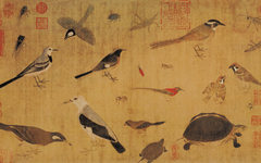《写生珍禽图》