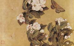 《海棠蛱蝶图》