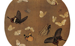 《晴春蝶戏图》