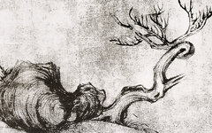 《古木怪石图》