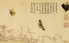 《写生蛱蝶图》