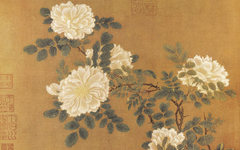 《白蔷薇图》